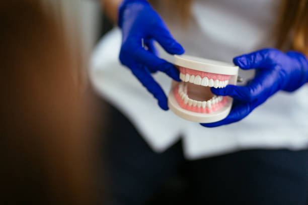 Emergency Dental Services in Estell Manor, NJ